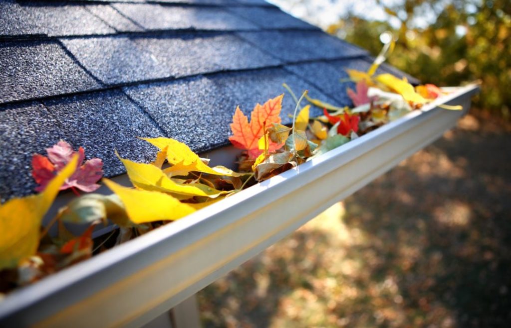 gutter-cleaning